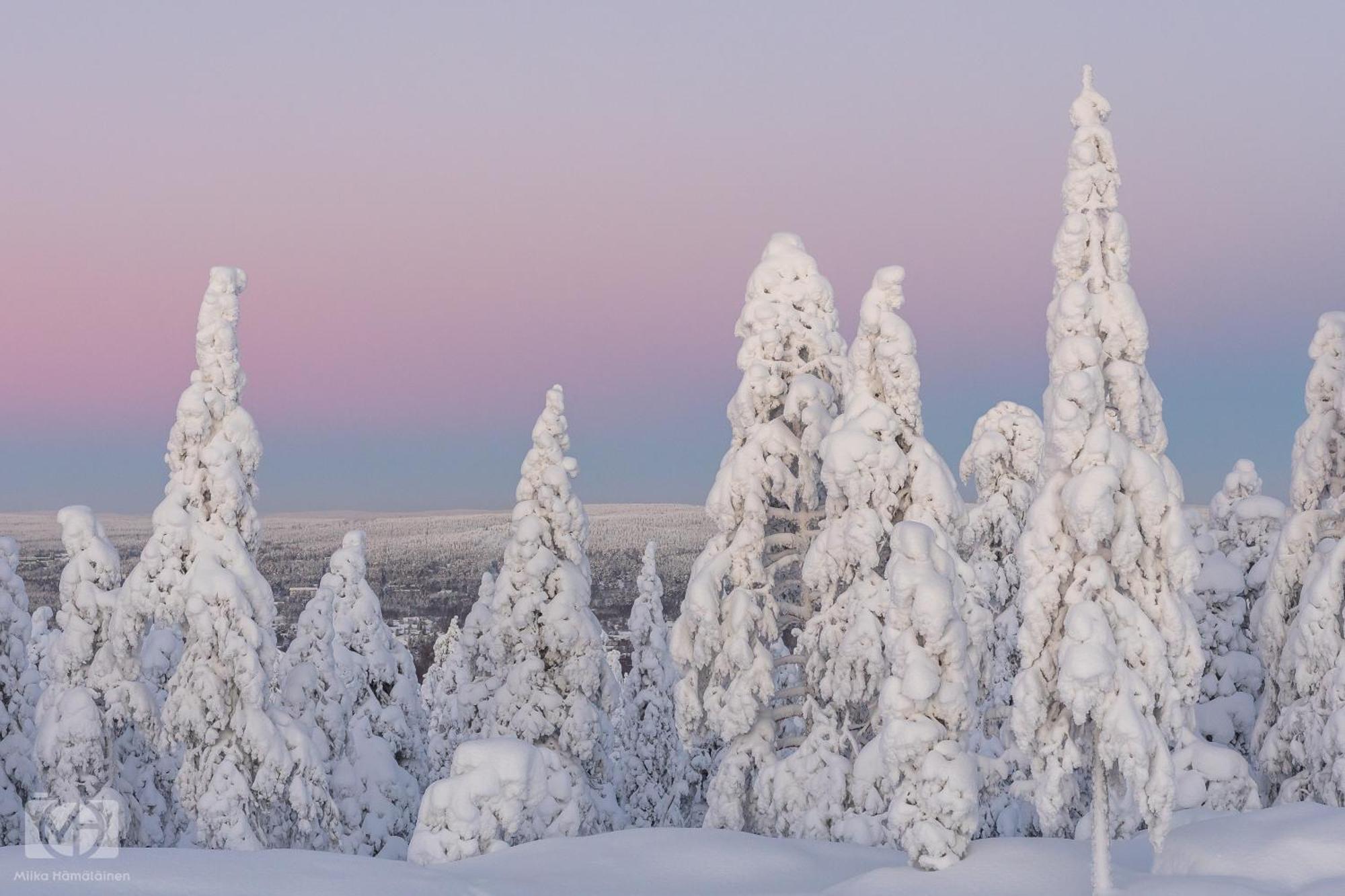 Northern Bliss Hideaway Rovaniemi Exterior photo